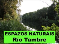 Espazos naturais: Río Tambre